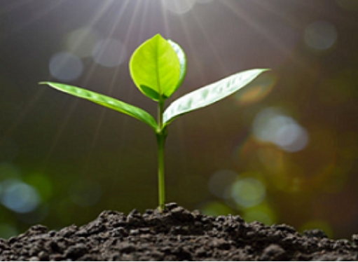 土壤與固廢檢測與分析